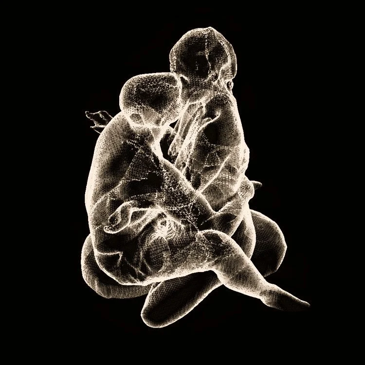 BreathingKiss_PortraitByLisaNiedermeyer 2.jpeg