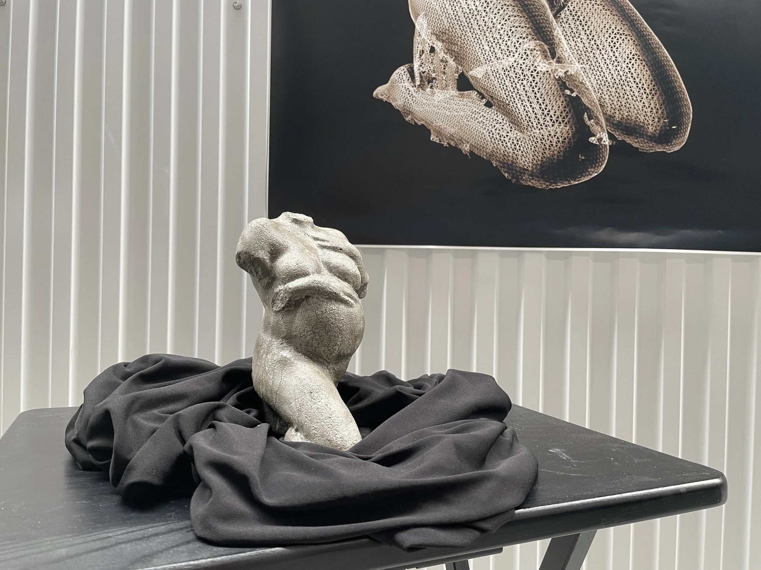 Niedermeyer_Lisa_10x4X5_S3DPrintedSculptureConcrete_Heartbeat.JPG