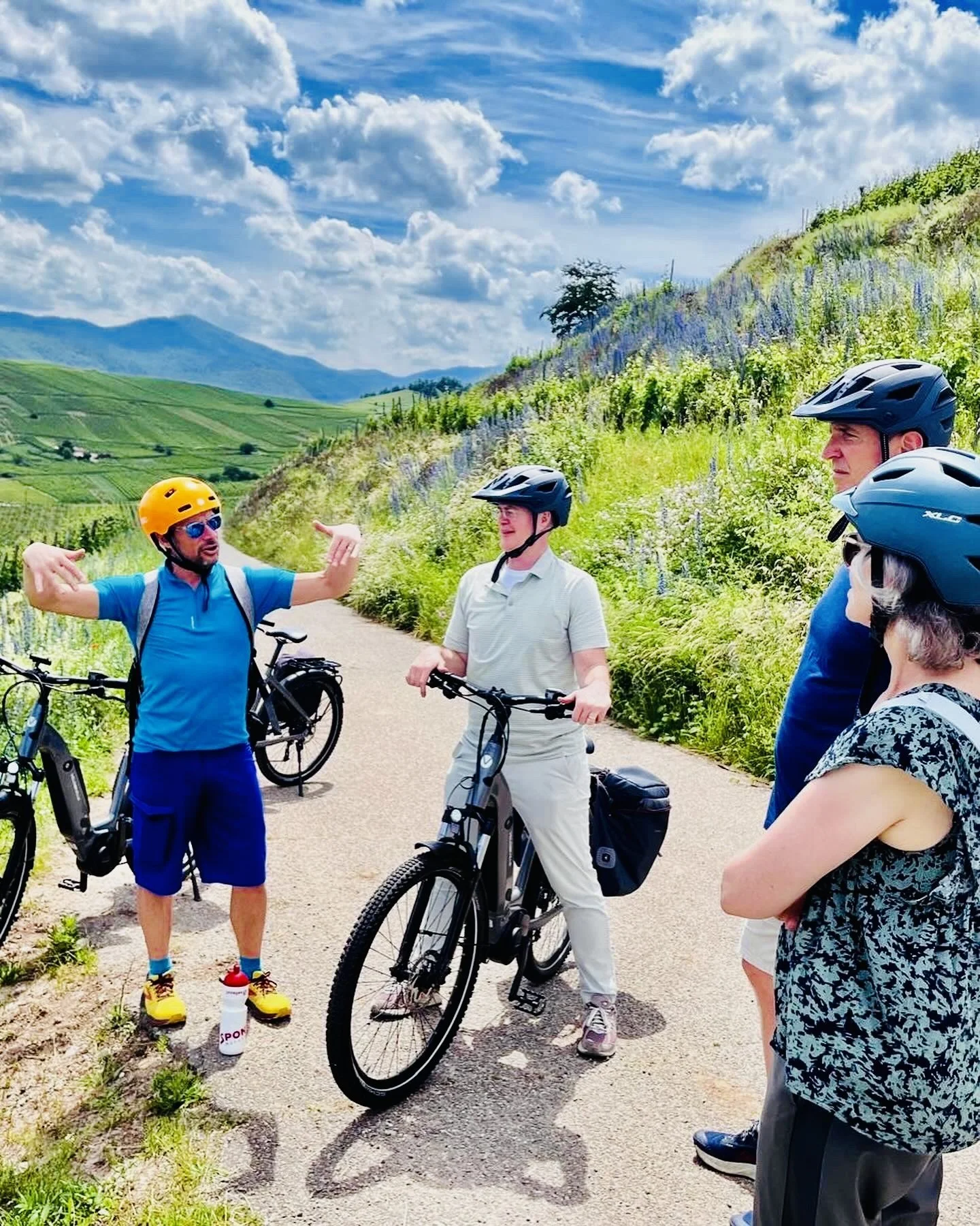 Group of five people with helmets and bicycles standing on a scenic vineyard trail, engaging in a conversation with lush green hills and blue sky with clouds in the background.