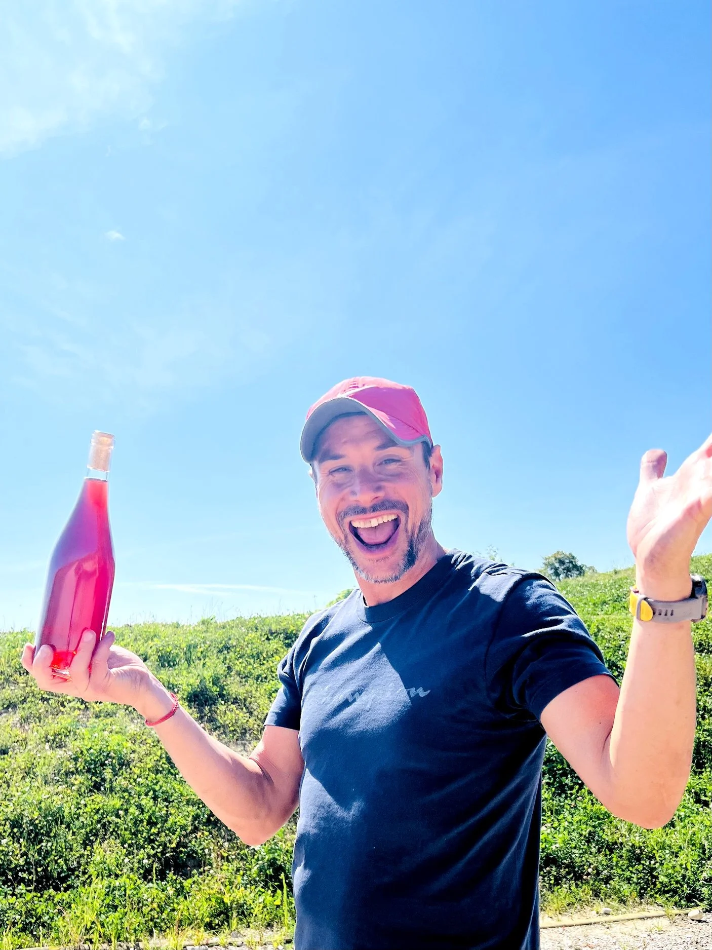 my_wine_rose_buy.jpg