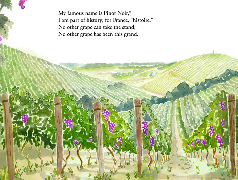Watercolor illustration of a vineyard with grapevines and grape clusters, rolling hills in the background, and a poem about Pinot Noir in the sky.