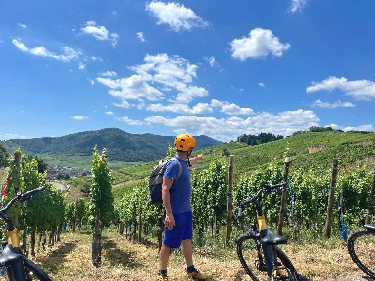 Person in blue shorts, t-shirt, and orange helmet pointing at vineyard in a scenic hilly landscape with multiple bicycles nearby under a partly cloudy sky.