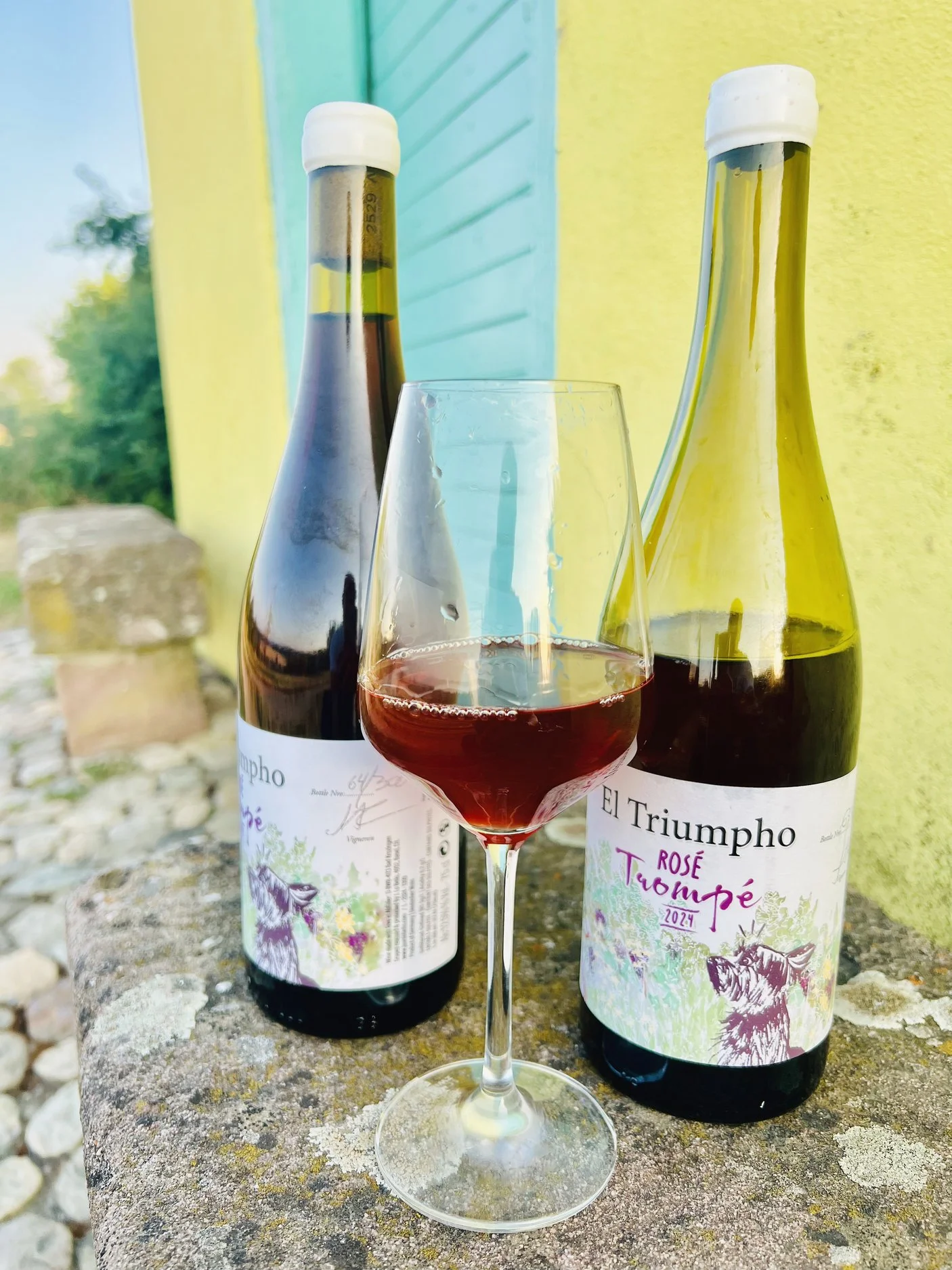 el_triumpho_rose_2024.jpg