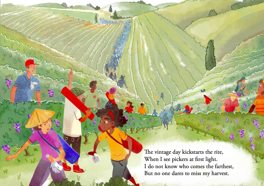 Children and adults picking grapes in a vineyard on a sunny day, with lush green hills in the background.