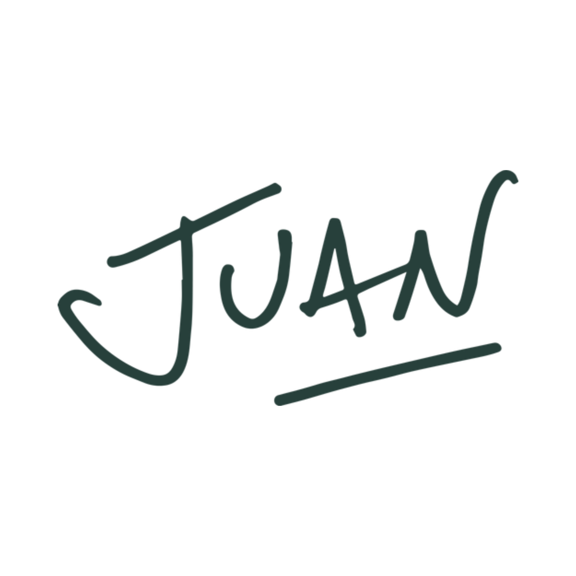 Close-up of a handwritten signature 'Juan' in capital letters, written with a dark pen on a light background.