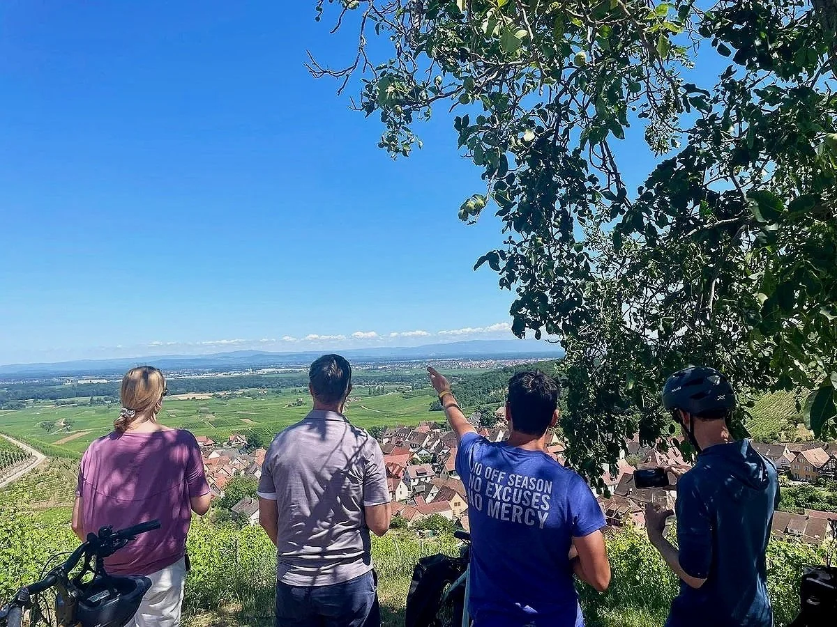 Four people standing on a hilltop overlooking a rural landscape, vineyards, and a distant horizon under a clear blue sky. One person is wearing a blue shirt with text, another has a helmet, and they are taking photos or pointing towards the view.