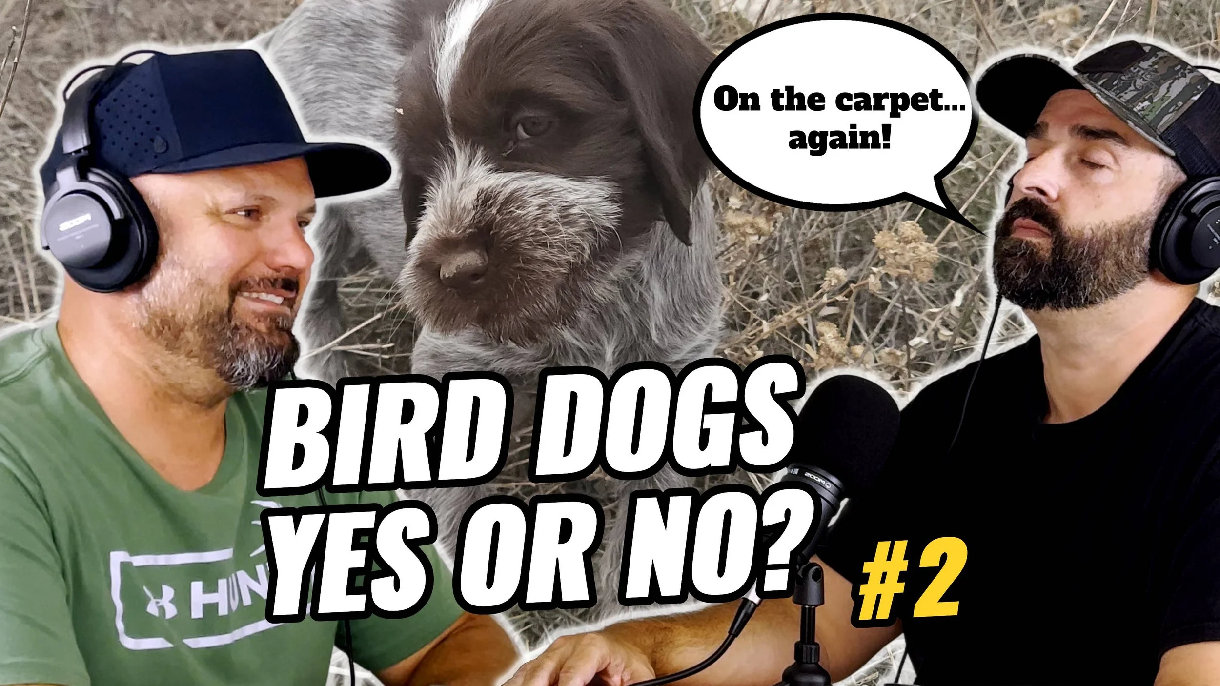 Episode 02: Do You Need a Bird Dog for Upland Hunting?
