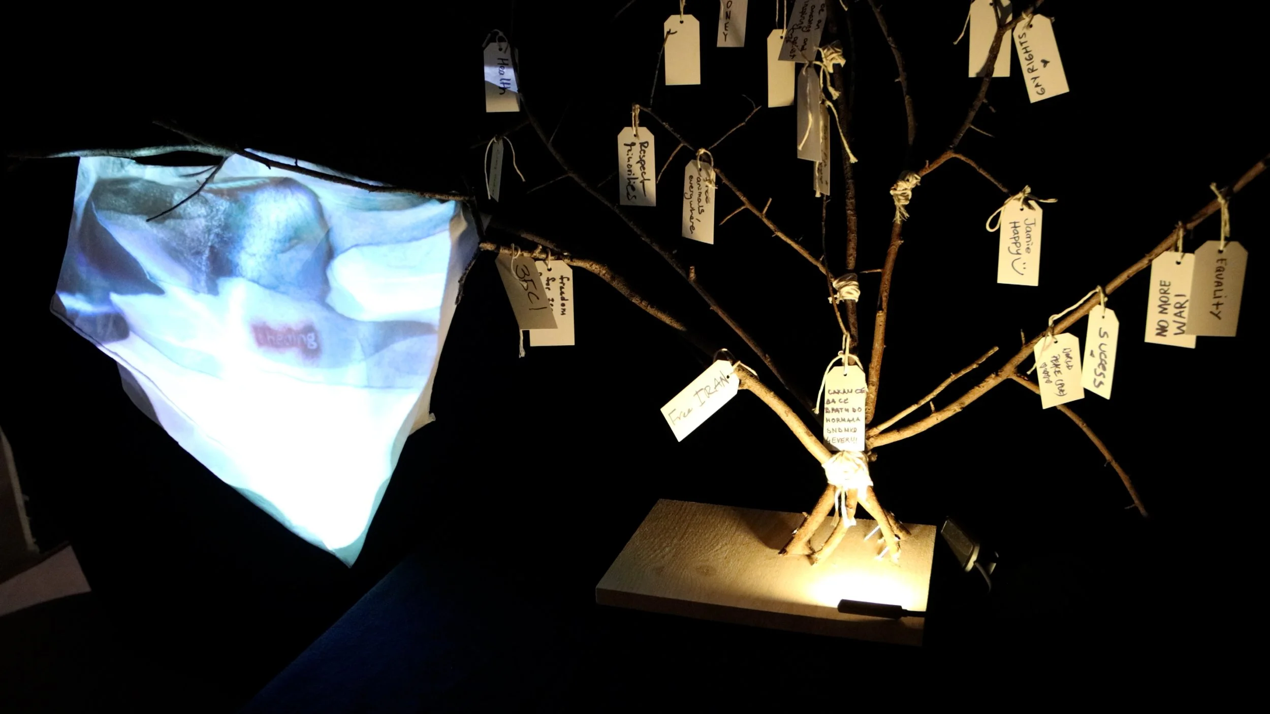 your wishes are safe, probably