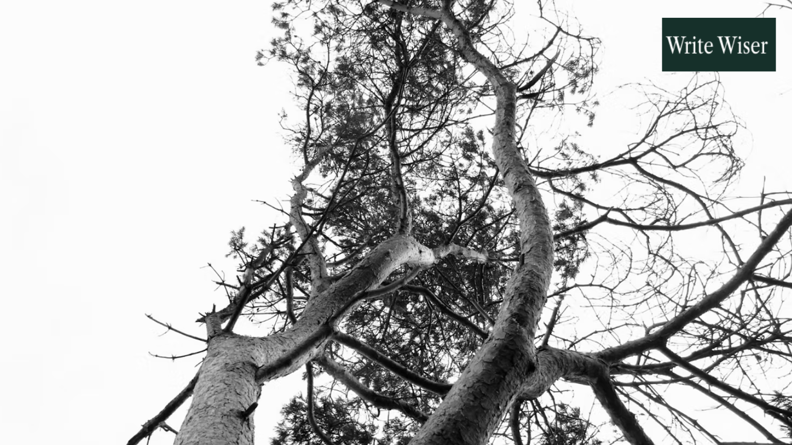 How My Landscape Inspires Mindful, Reflective Writing | Write Wiser | Scotland, Arts | Published: 17 April 2023