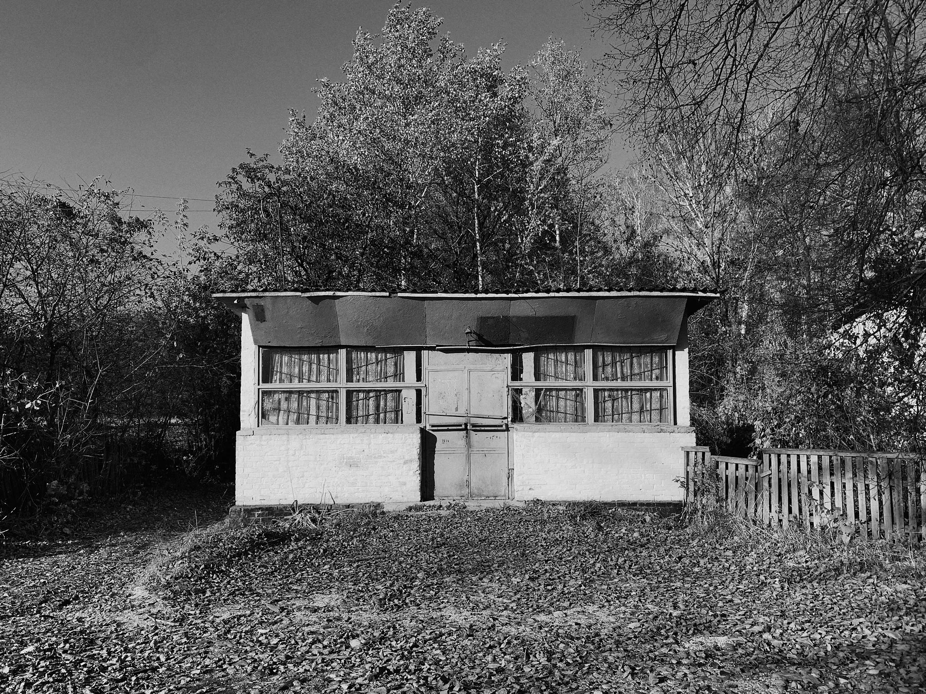 Snapseed 2346435.jpg