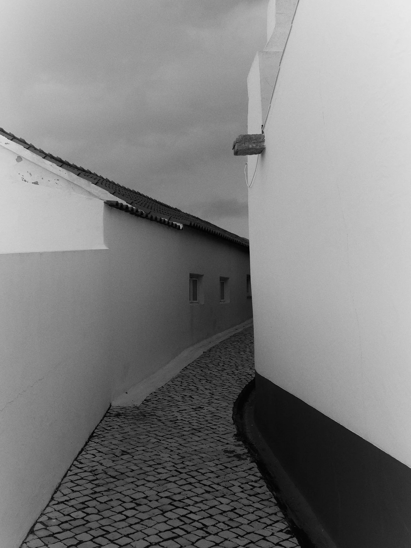 L1005874.jpg