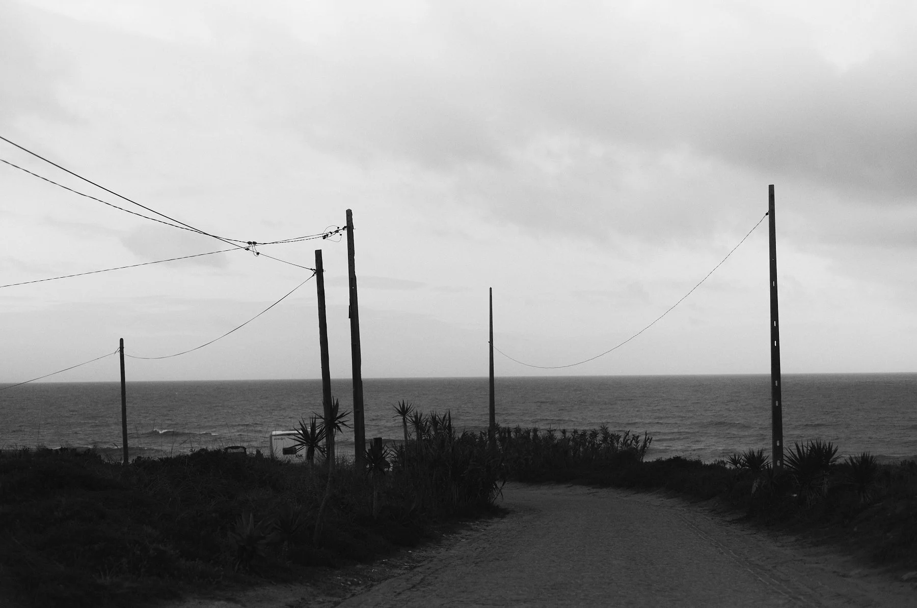 L1005775.jpg