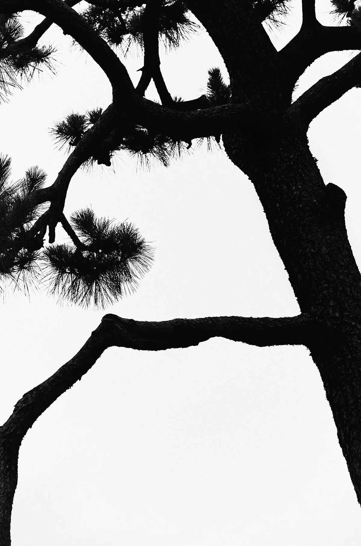 L1001374.jpg