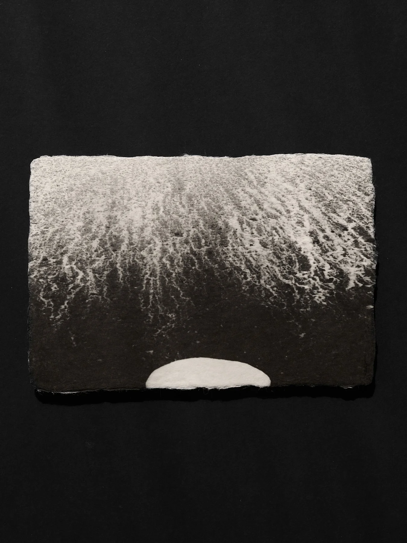 L1004908.jpg