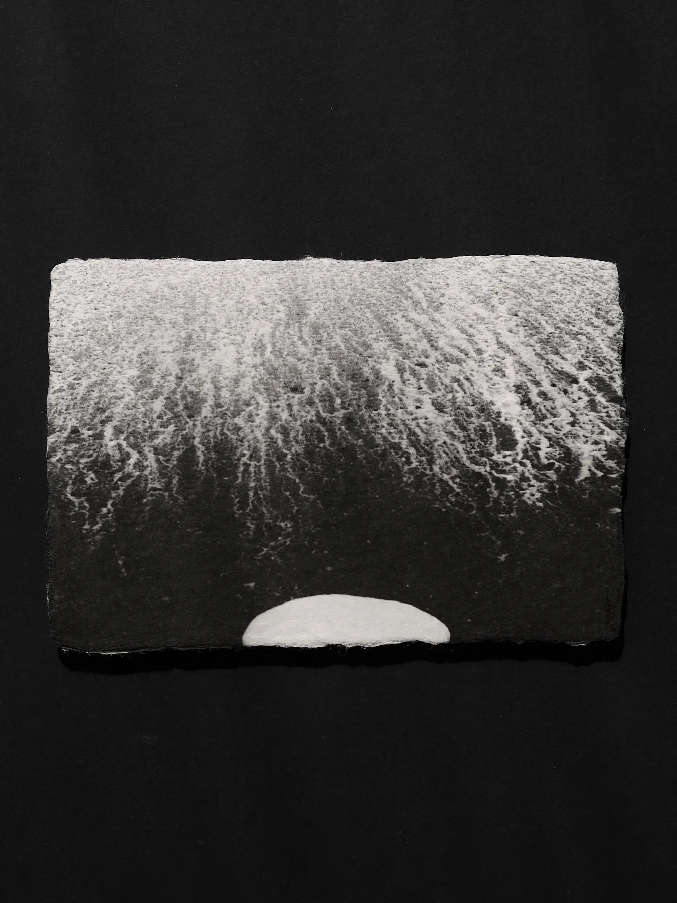L1004908 copy.jpg