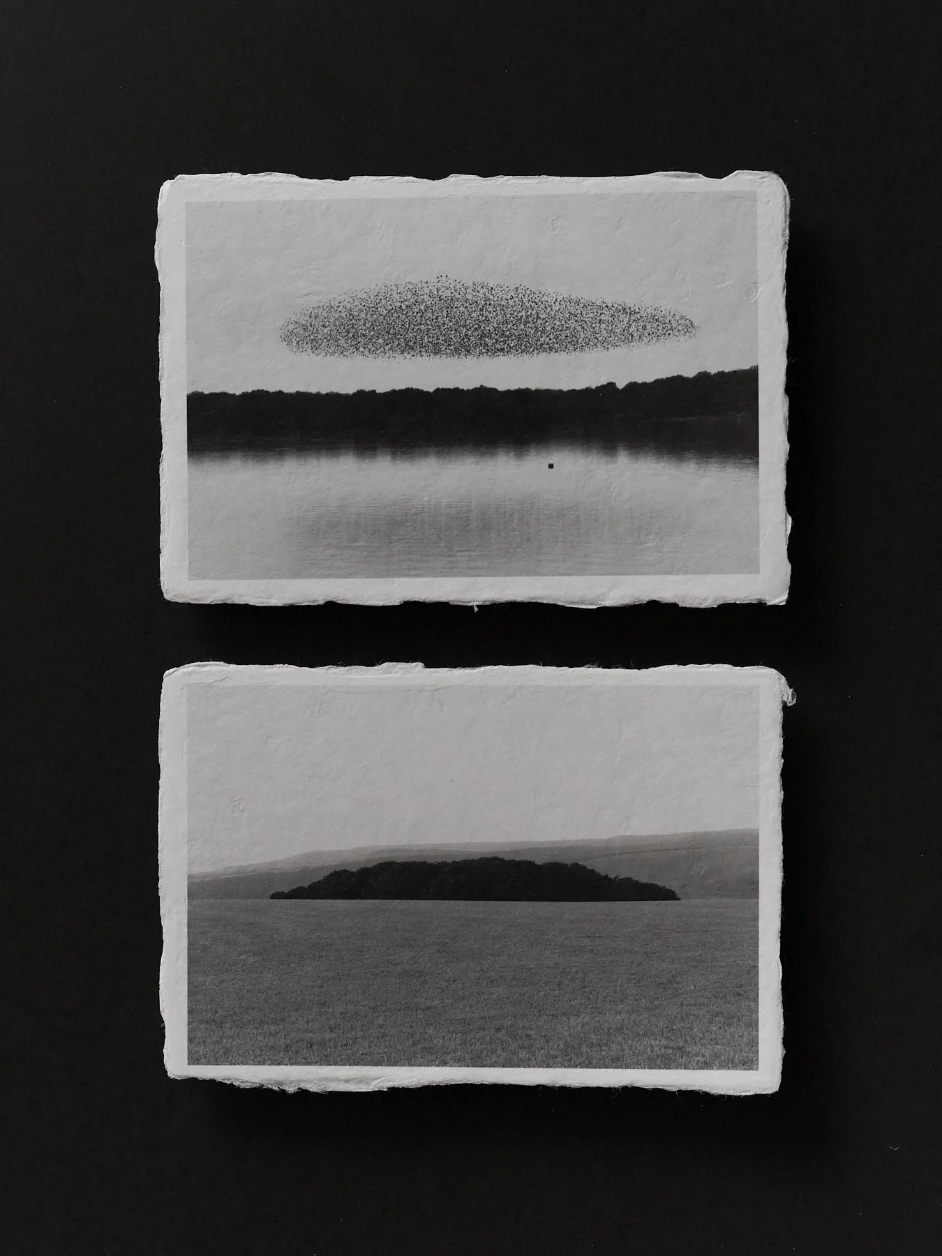 L1004933.jpg