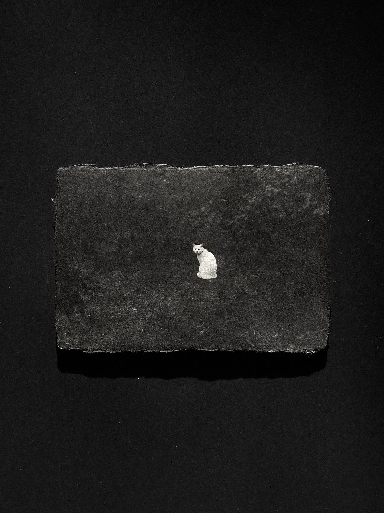 L1006020.jpg