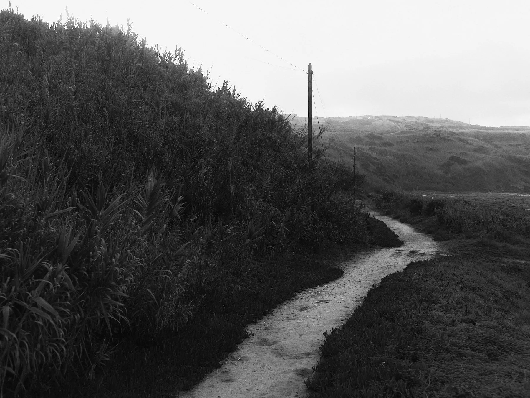 L1005781 1.jpg