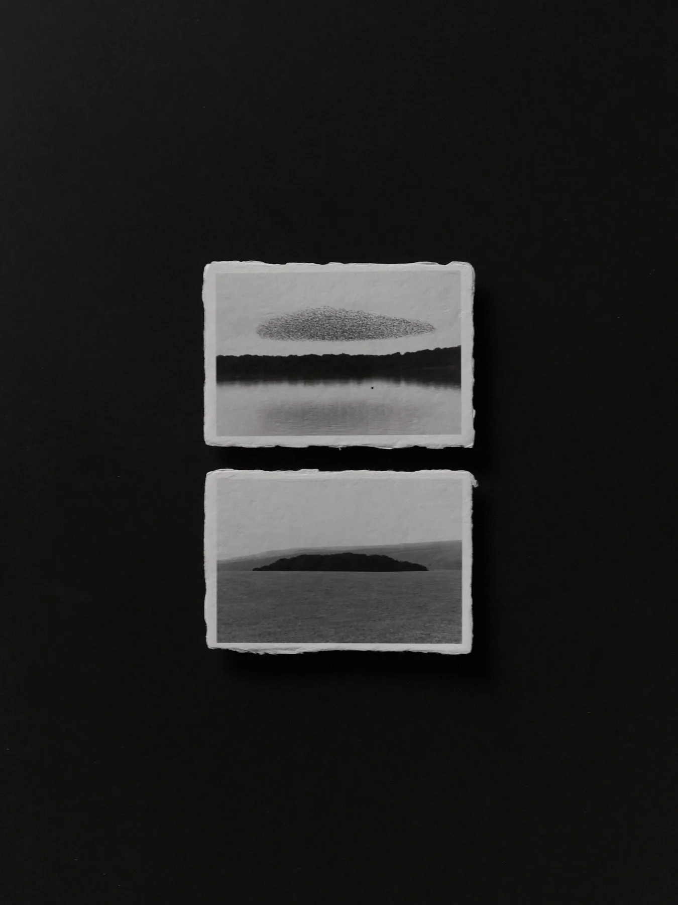 L1004944.jpg