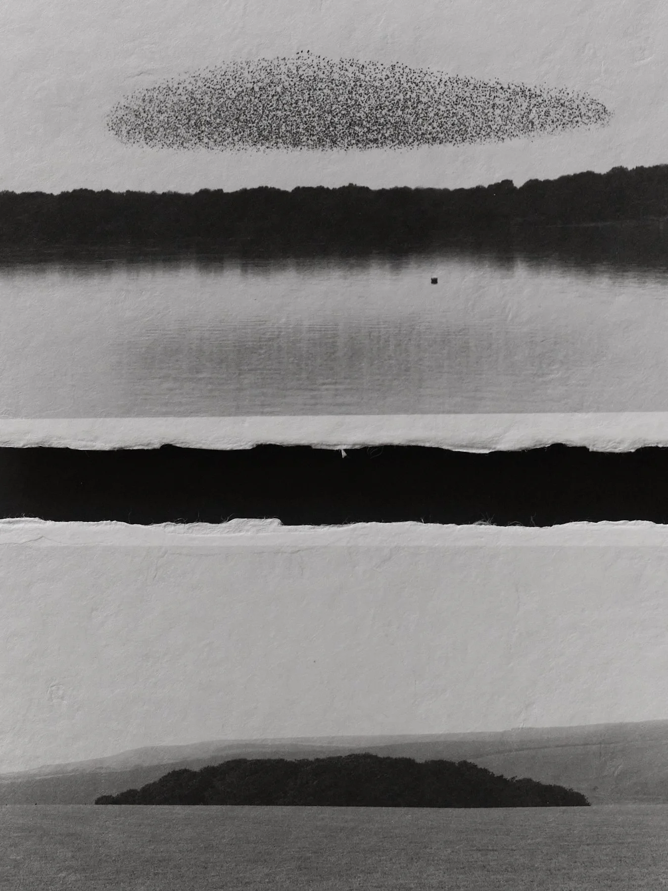 L1004933 1.jpg