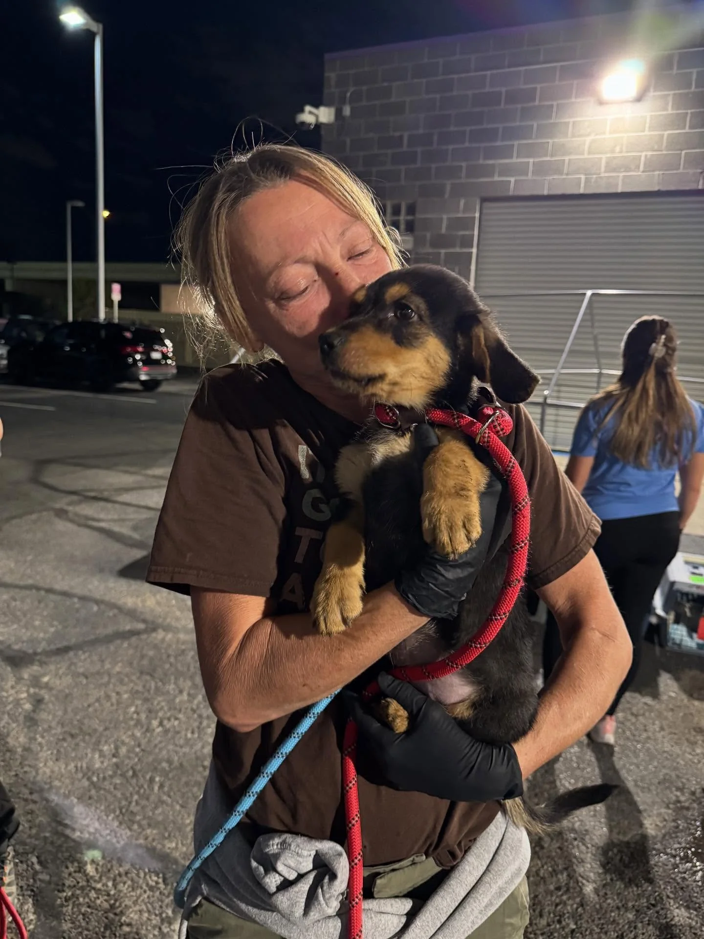 Happy tails, babies!!! 🥹🥳🤍

This morning, we sent several large litters of puppies, our scruffy guy Gio, several victims of cruelty, and Miss Jinx the tripod puppy - who will never know another hard day - onto a plane for the opportunity for new l