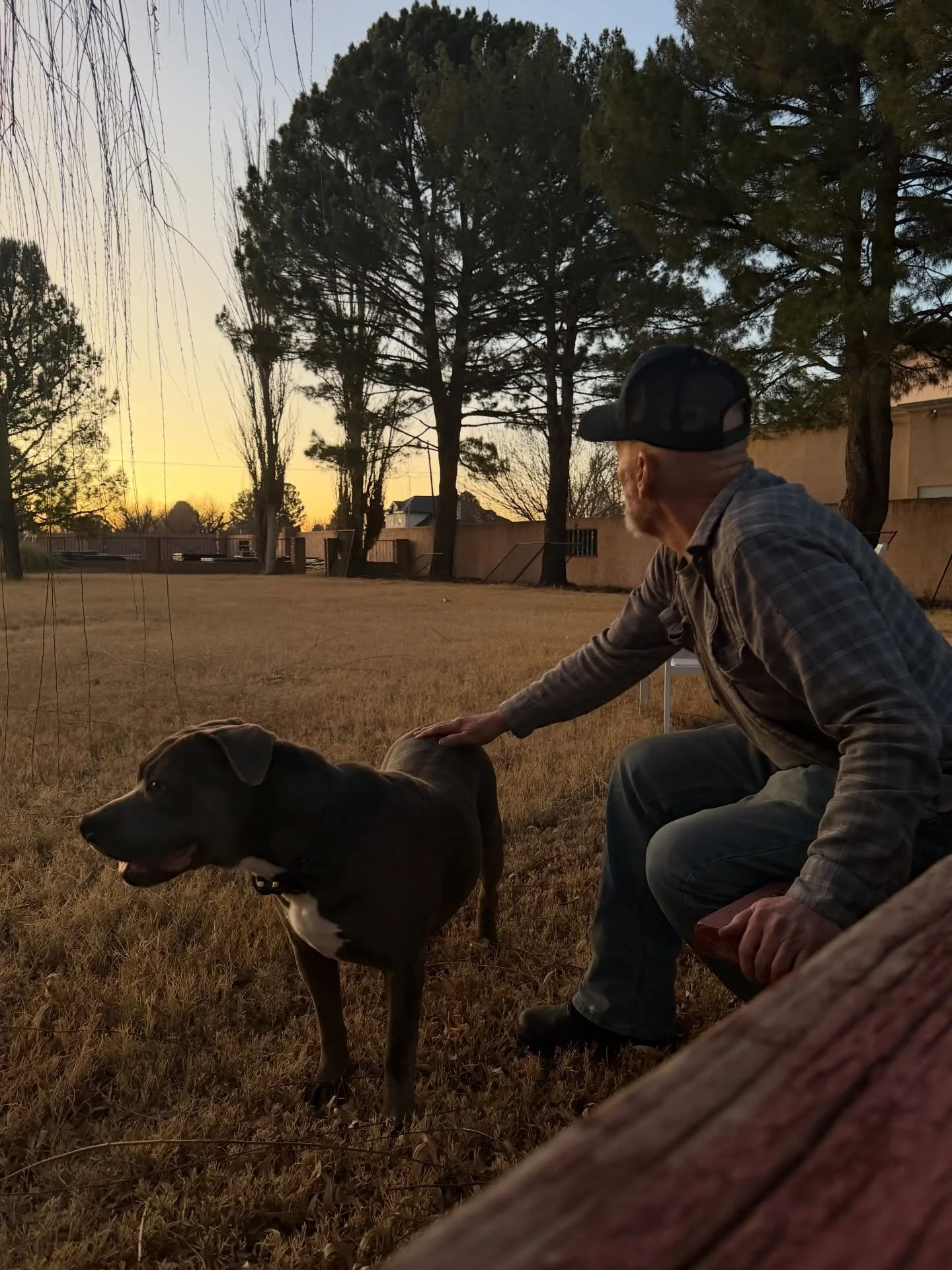 Forever each other&rsquo;s Valentines 🥹❤️

We took this crew on a road trip (to Whataburger, but a car ride is a car ride) and they had a blast. We tried to get a cute video of them loading up, but Billy got sidetracked by some stray treats 😅 we go