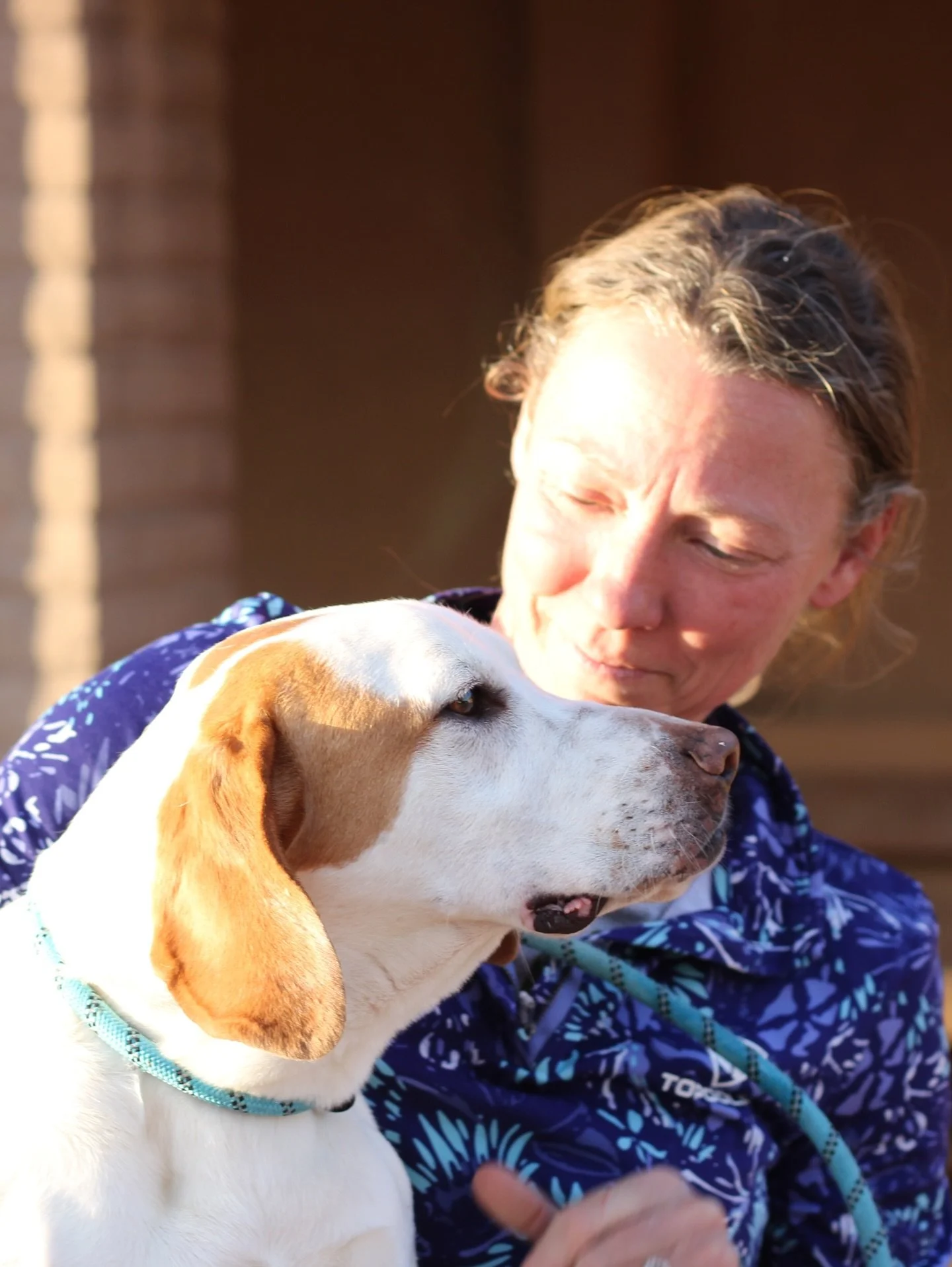 It&rsquo;s transport week! This Friday, we&rsquo;re sending quite a few Ranch residents up to the Pacific Northwest to start their new lives, including our hoarding survivor Malibu, who&rsquo;s been an absolute angel during her stay. 🥹

We&rsquo;re 