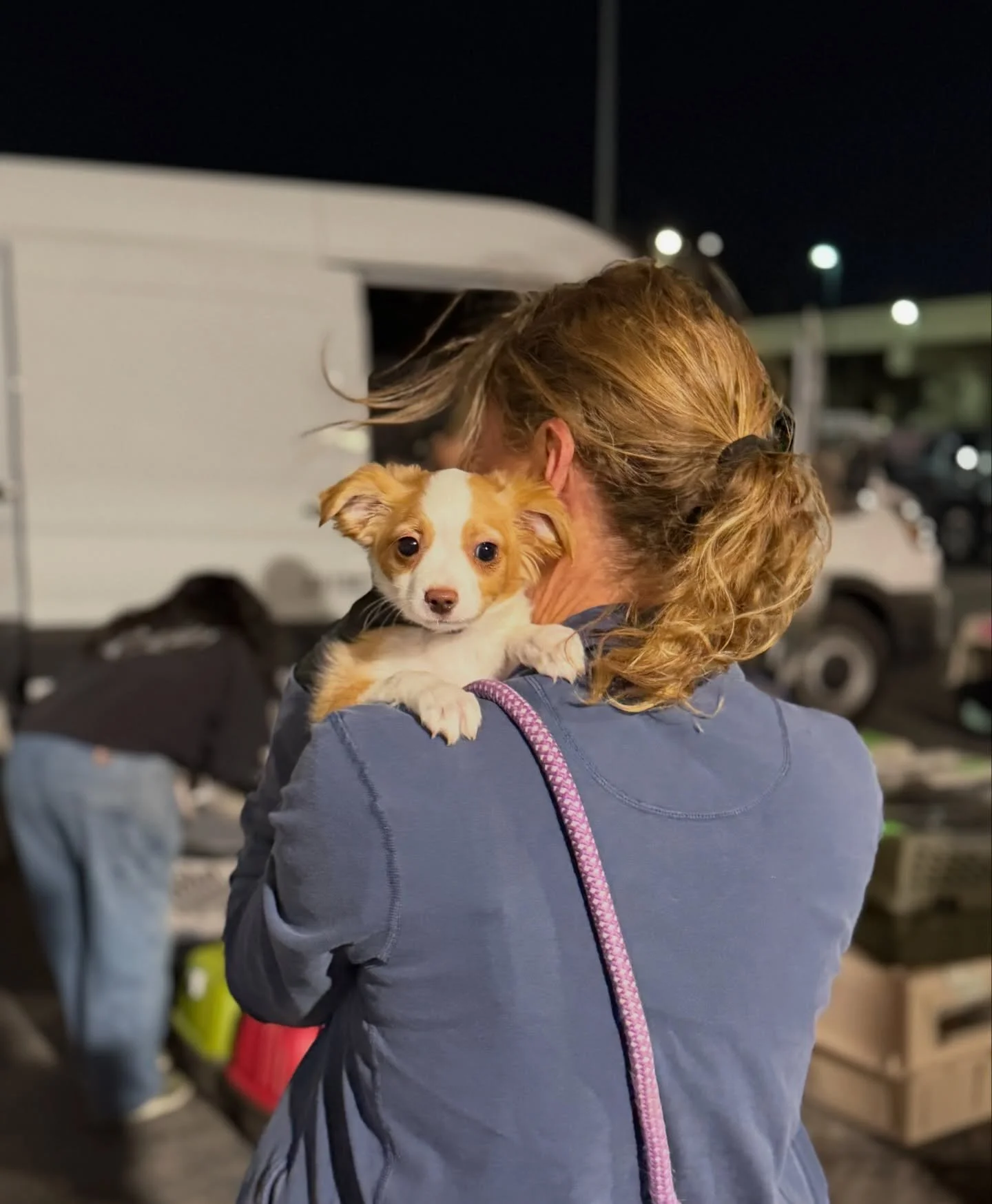First transport flight of the year is in the books! 58 pups from El Paso are on their way north starting bright and early this morning.

A huge thank you to @epanimalsvc staff and @rescuerunners915 volunteers for always showing up for these babies, t