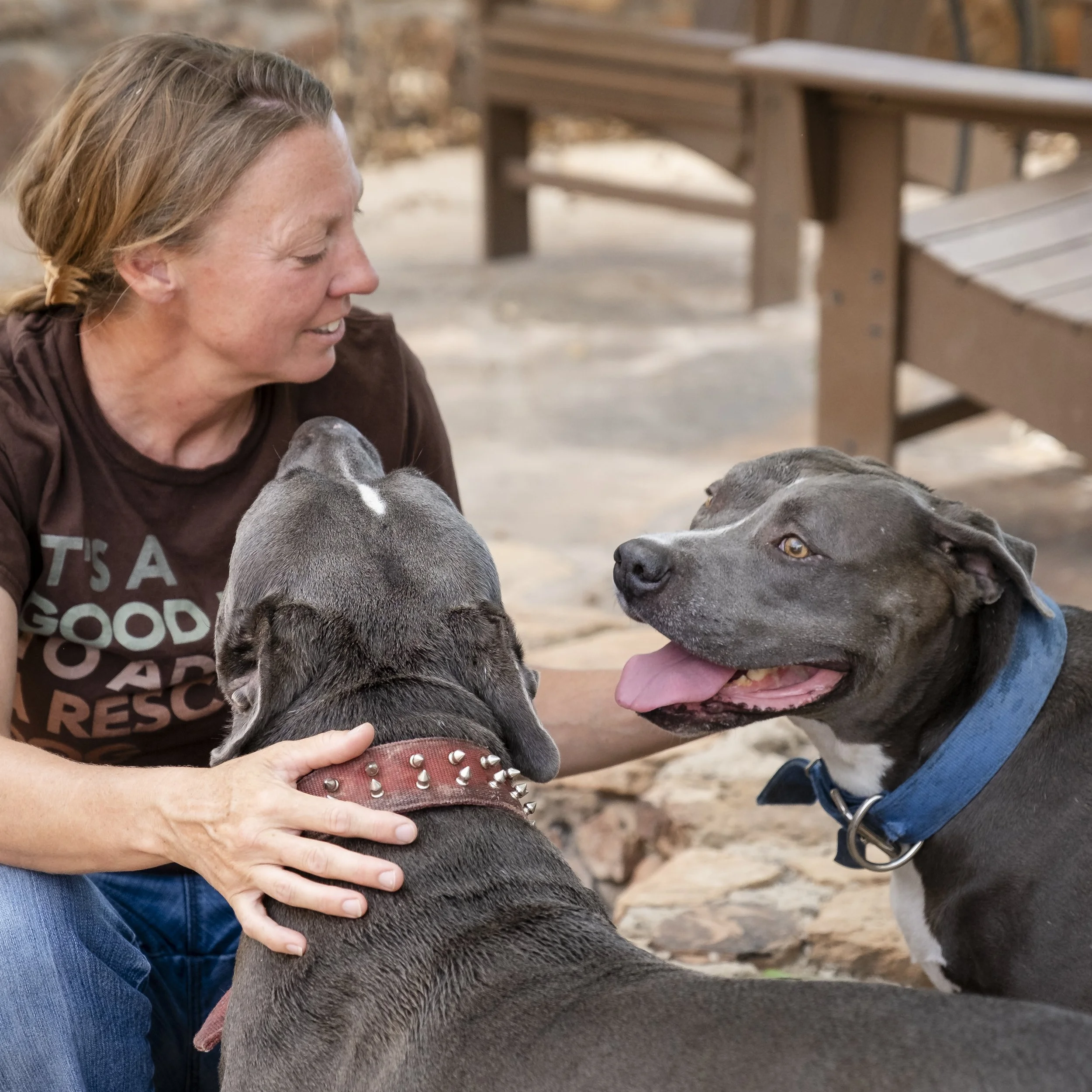 EPAS_RanchDogs_15.jpg