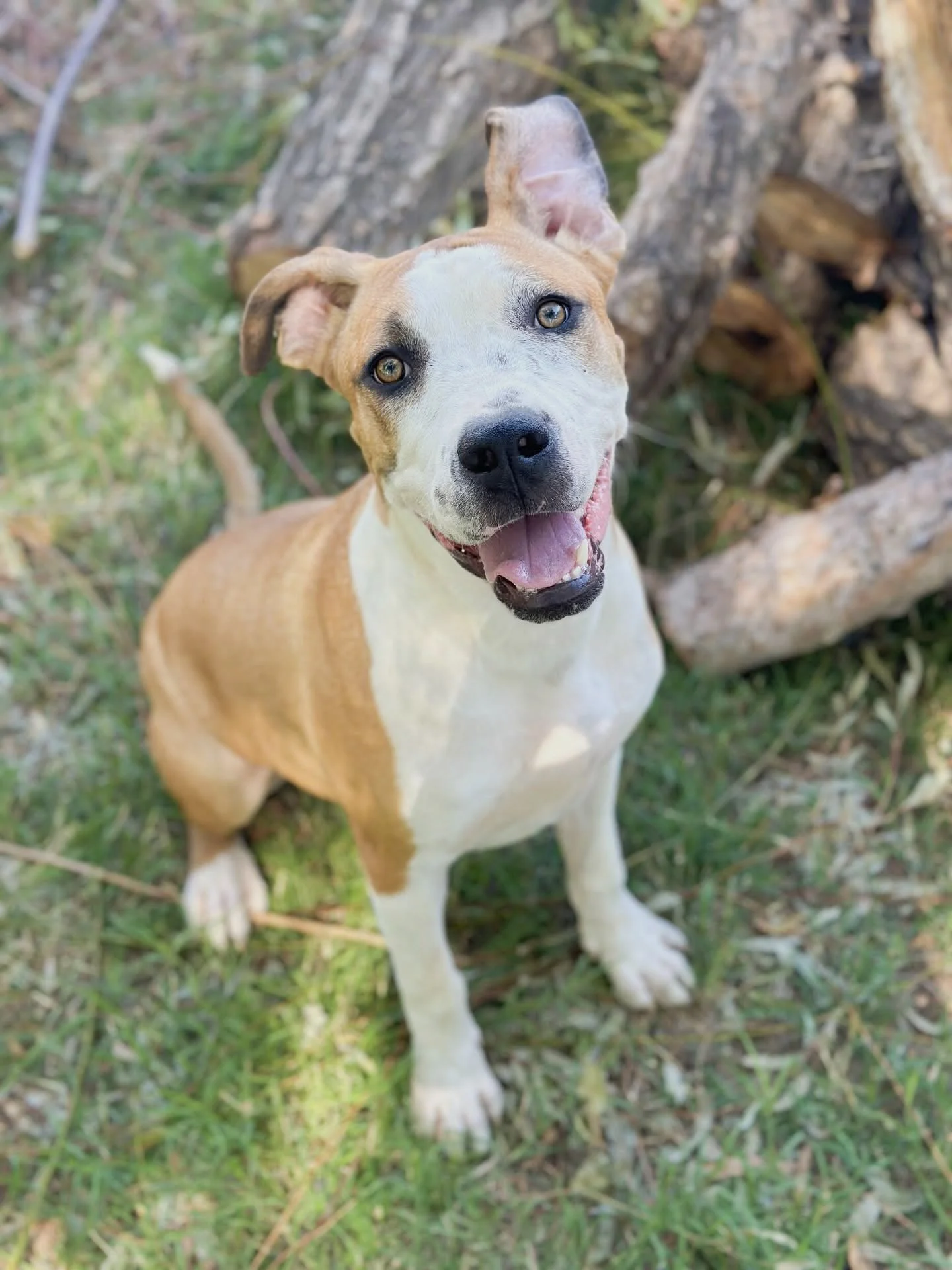 619751784_17888708946413304_8841035403706999578_n (1) (1).jpg