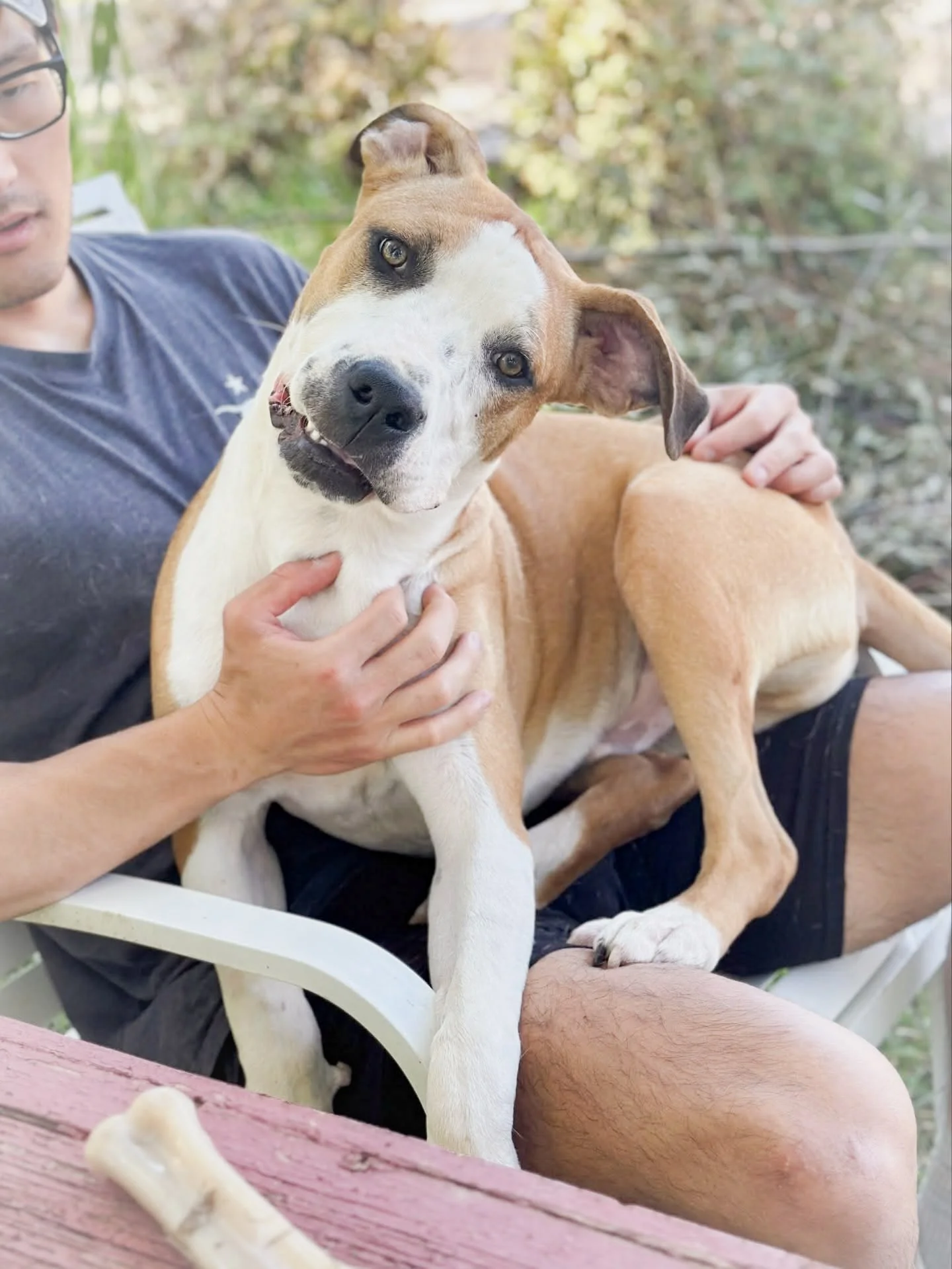 619758277_17888708955413304_1571242650698074712_n (1).jpg