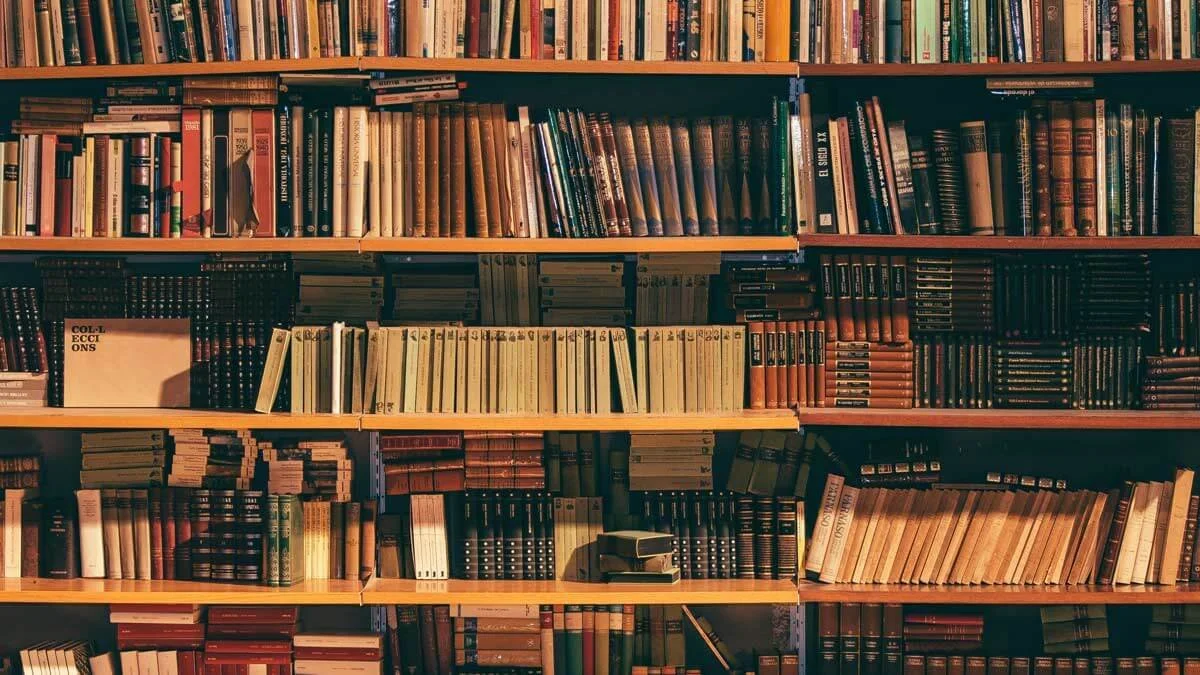 Bookshelves filled with various books in a library or bookstore