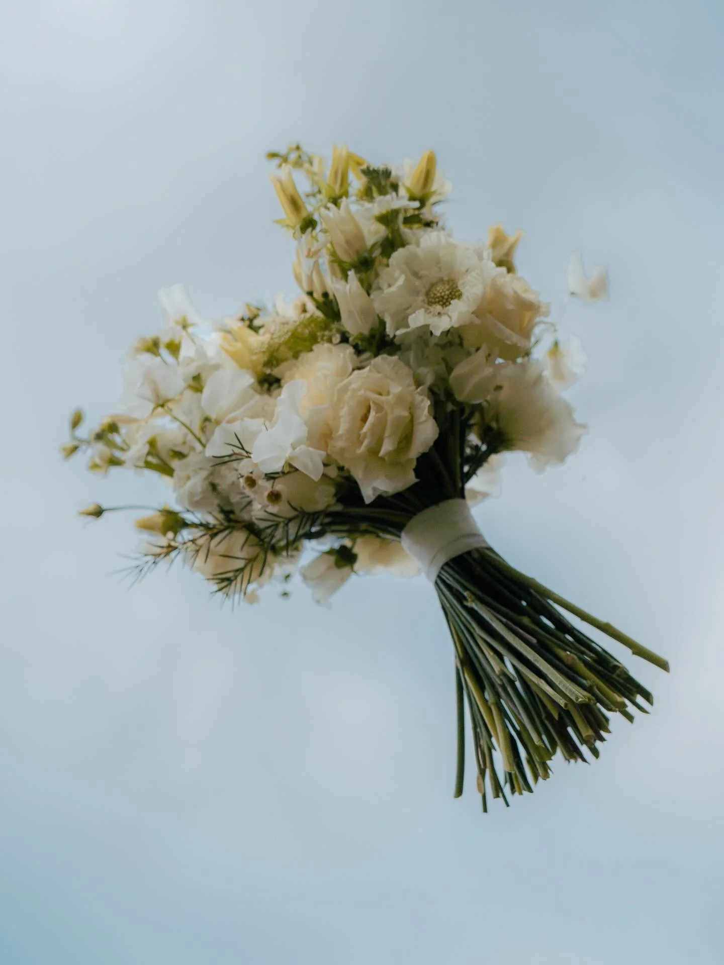 Svatebn&iacute; term&iacute;ny na tento rok se pln&iacute;, aktu&aacute;lně m&aacute;m přes l&eacute;to kapacitu už jen na 2-3 svatby.

💍Obsazen&eacute; term&iacute;ny 30. 5., 6. 6., 26. 6., 25. 7., 1. 8., 8. 8., 15. 8., 29. 8., 12. 9. 

 Moc děkuji