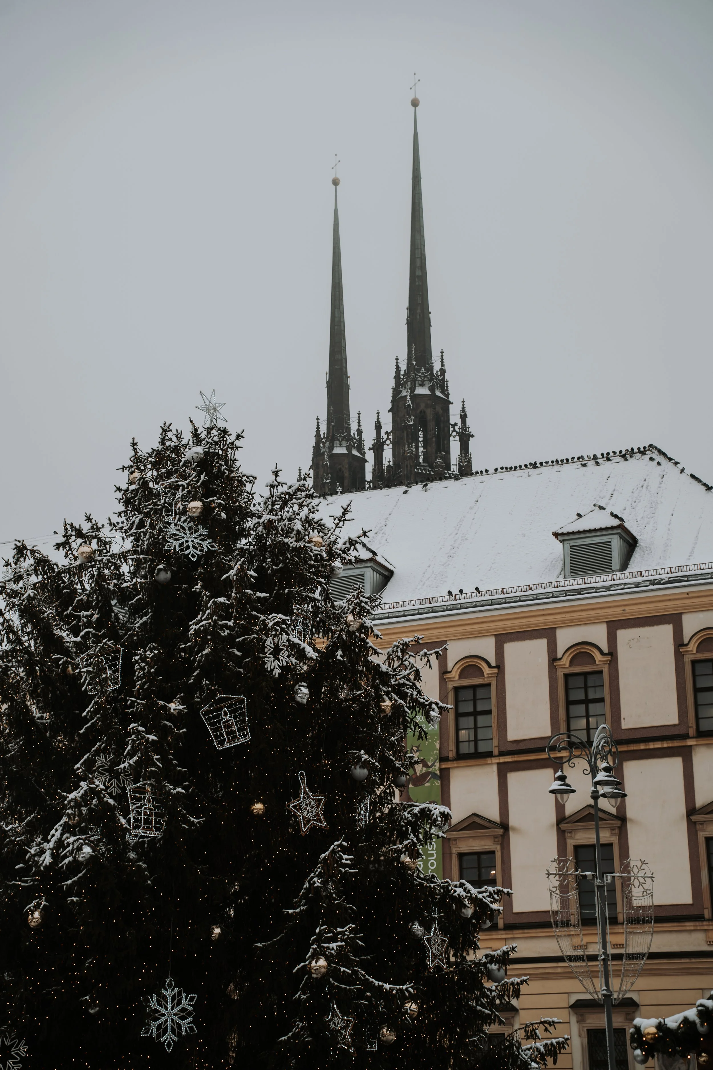 DSC01809.jpg