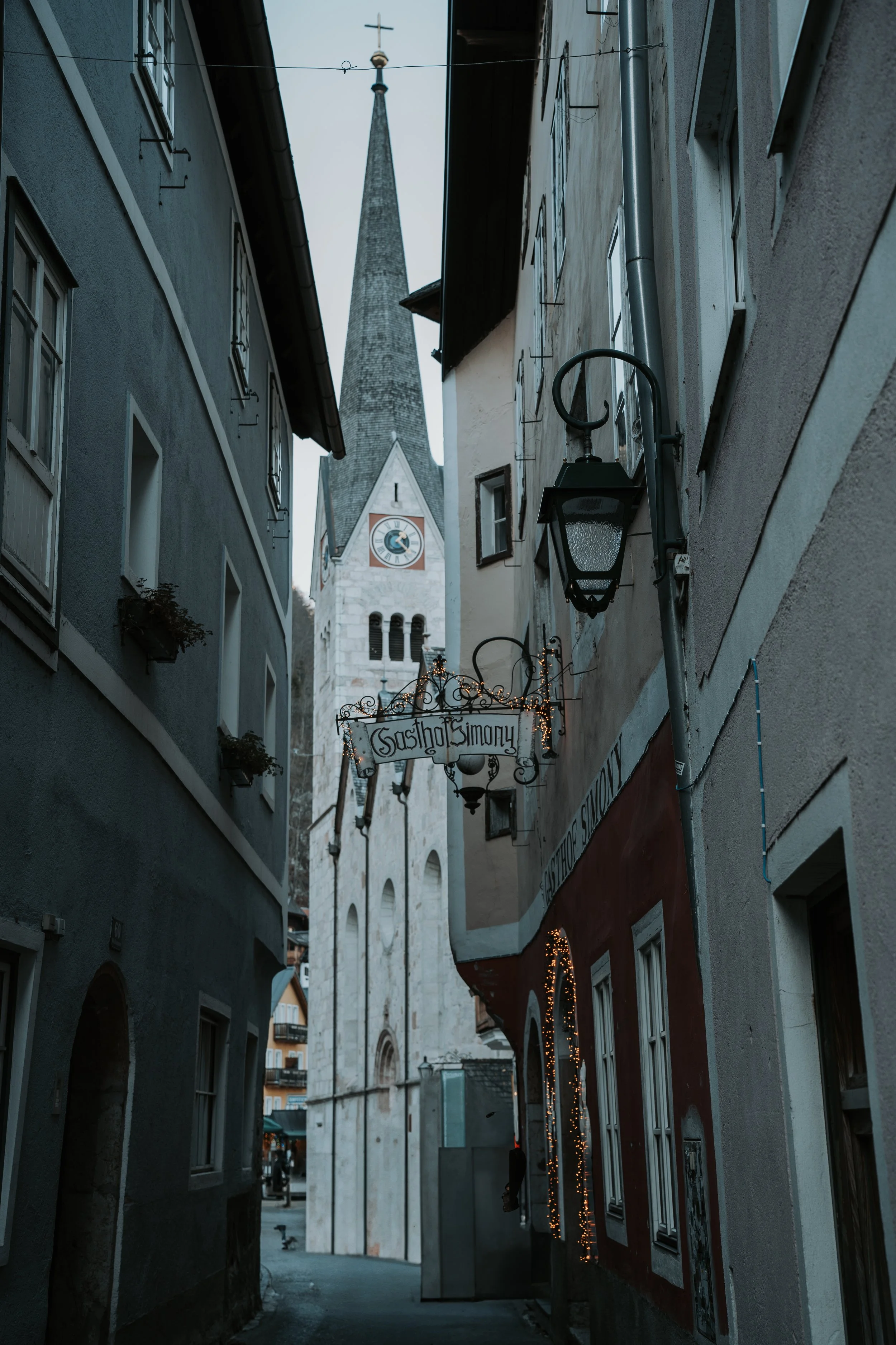 DSC01109.jpg