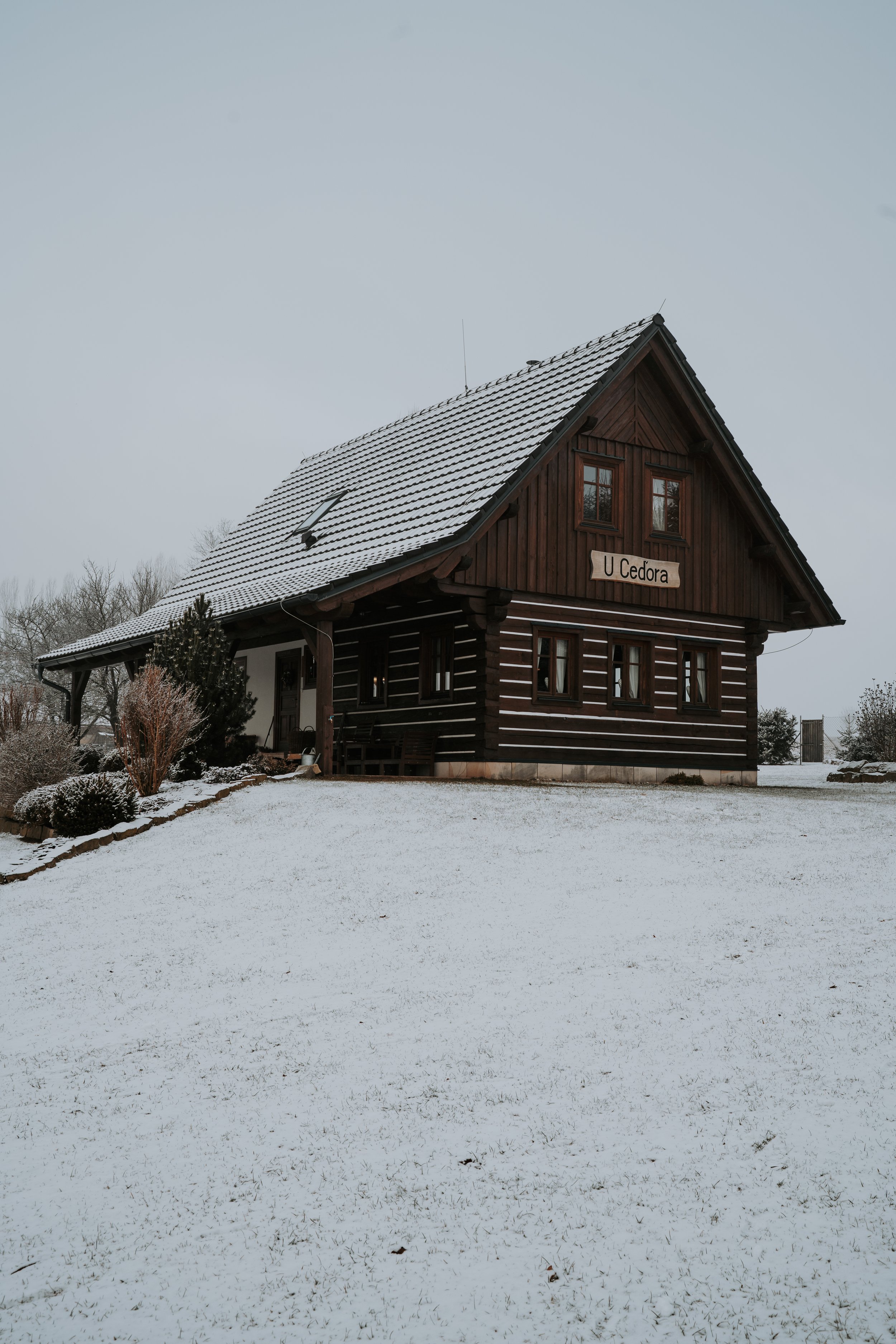DSC04771.jpg