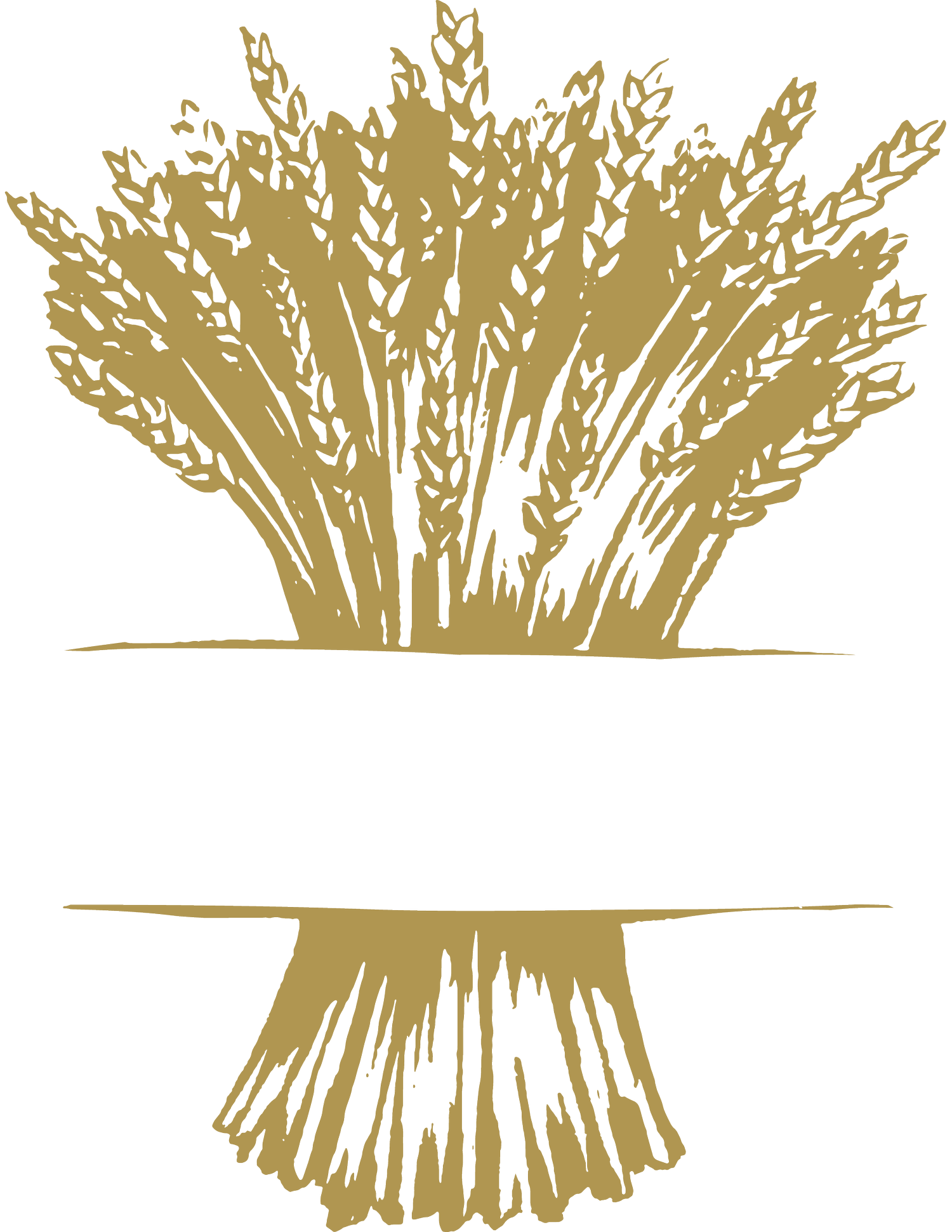 The Grain Shed 