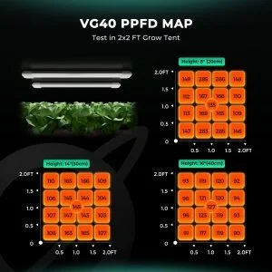 Mars-hydro-VG40-PPFD-300x300.jpg