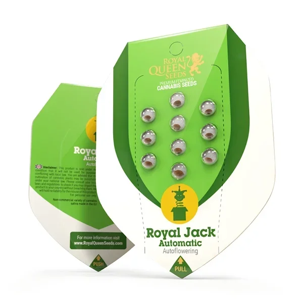 Packaging for Royal Jack Automatic autoflowering cannabis seeds, featuring green and white design with metal balls or capsules inside