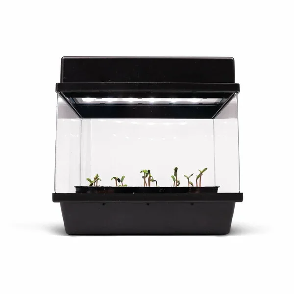 starter-kit-autoflowering (1).webp