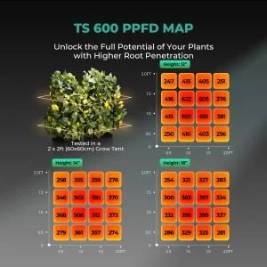 Mars-Hydro-TS600-HOME-GROW-PPFD-1-300x300.jpg