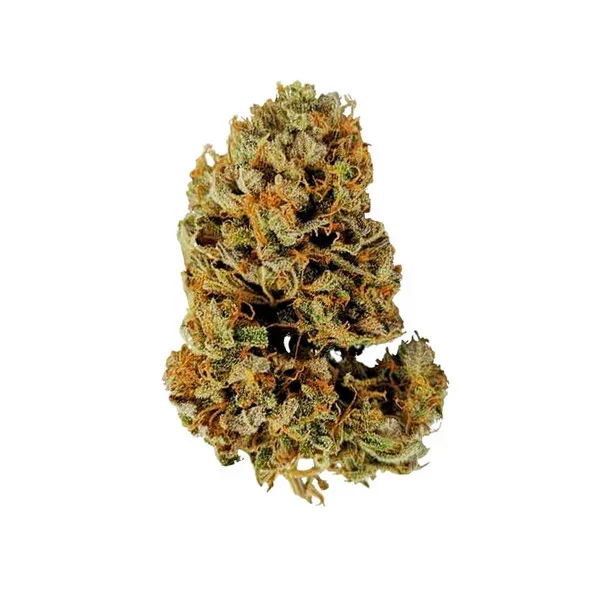 white-widow-automatic (2).webp