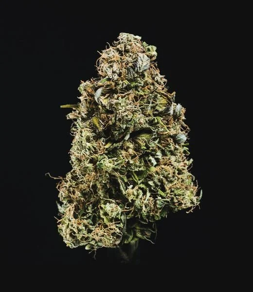 haze-berry-automatic (3).jpg