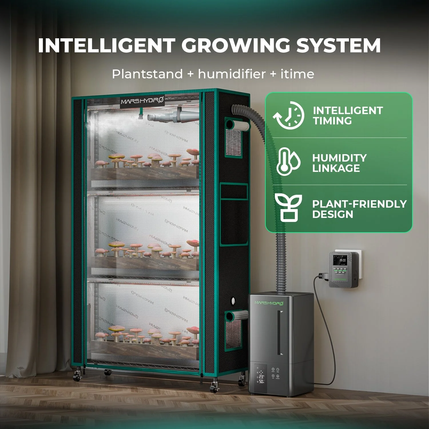 plant-stand-with-the-humidifier (1).jpg