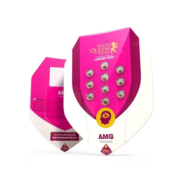 AMG - Amnesia Mac Ganja Amnesia x Mexican Haze