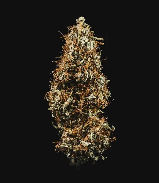 hulkberry-automatic (1).webp