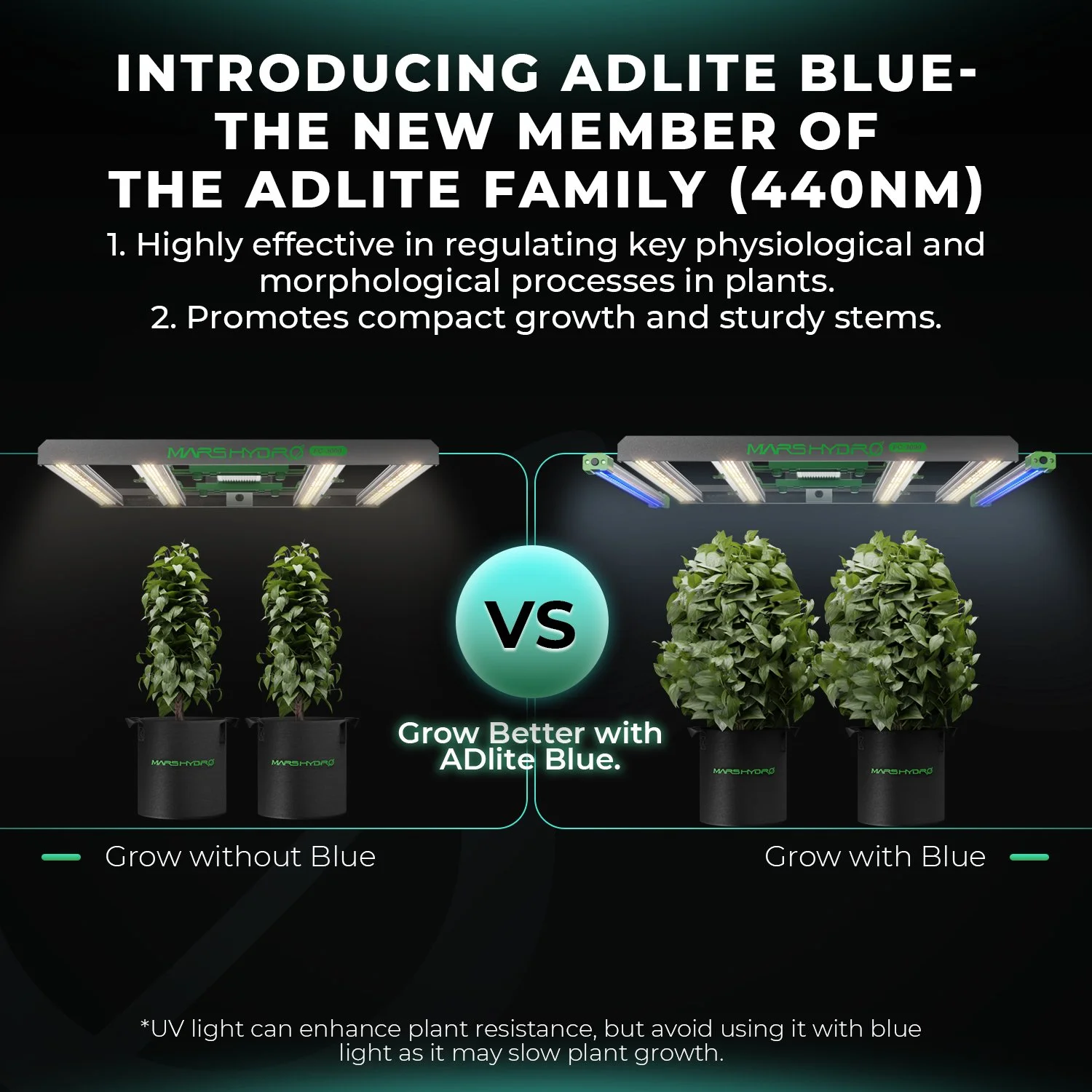 8-2025-new-adlite-supplement-led-blue.jpg