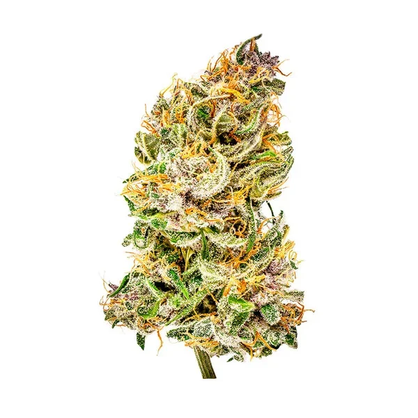 bubble-kush-automatic (2).webp
