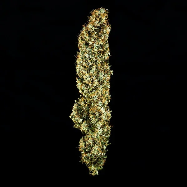 Close-up of a cannabis bud against a black background.