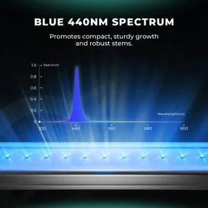 5-2025-new-adlite-supplement-led-Blue-440nm-Spectrum-300x300.jpg